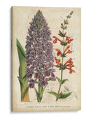 Verano Metley Iii - Severeyns | Cuadro decorativo de Canvas Lab