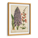 Verano Metley Iii - Severeyns | Cuadro decorativo de Canvas Lab