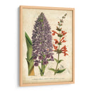 Verano Metley Iii - Severeyns | Cuadro decorativo de Canvas Lab