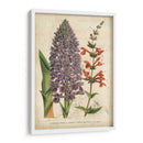 Verano Metley Iii - Severeyns | Cuadro decorativo de Canvas Lab