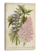 Verano Medley Iv - Severeyns | Cuadro decorativo de Canvas Lab