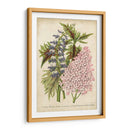 Verano Medley Iv - Severeyns | Cuadro decorativo de Canvas Lab