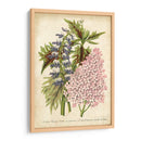 Verano Medley Iv - Severeyns | Cuadro decorativo de Canvas Lab