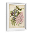 Verano Medley Iv - Severeyns | Cuadro decorativo de Canvas Lab