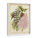 Verano Medley Iv - Severeyns | Cuadro decorativo de Canvas Lab