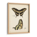 Perfil De Mariposa I - Vision Studio | Cuadro decorativo de Canvas Lab