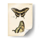 Perfil De Mariposa I - Vision Studio | Cuadro decorativo de Canvas Lab