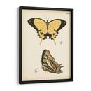 Perfil De Mariposa Ii - Vision Studio | Cuadro decorativo de Canvas Lab