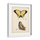 Perfil De Mariposa Ii - Vision Studio | Cuadro decorativo de Canvas Lab