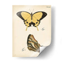 Perfil De Mariposa Ii - Vision Studio | Cuadro decorativo de Canvas Lab