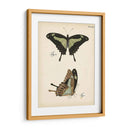 Perfil De Mariposa Iii - Vision Studio | Cuadro decorativo de Canvas Lab