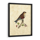 Selby Birds Iii - John Selby | Cuadro decorativo de Canvas Lab