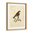 Selby Birds Iii - John Selby | Cuadro decorativo de Canvas Lab