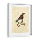 Selby Birds Iii - John Selby | Cuadro decorativo de Canvas Lab