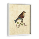 Selby Birds Iii - John Selby | Cuadro decorativo de Canvas Lab