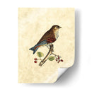 Selby Birds Iii - John Selby | Cuadro decorativo de Canvas Lab