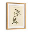 Pájaros Nozeman I - Nozeman | Cuadro decorativo de Canvas Lab