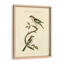 Pájaros Nozeman I - Nozeman | Cuadro decorativo de Canvas Lab