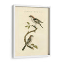 Pájaros Nozeman I - Nozeman | Cuadro decorativo de Canvas Lab