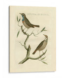 Nozeman Birds Ii - Nozeman | Cuadro decorativo de Canvas Lab