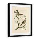 Nozeman Birds Ii - Nozeman | Cuadro decorativo de Canvas Lab