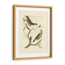 Nozeman Birds Ii - Nozeman | Cuadro decorativo de Canvas Lab