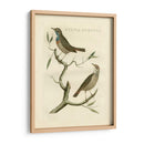 Nozeman Birds Ii - Nozeman | Cuadro decorativo de Canvas Lab