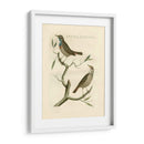 Nozeman Birds Ii - Nozeman | Cuadro decorativo de Canvas Lab