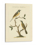 Nozeman Birds Iii - Nozeman | Cuadro decorativo de Canvas Lab