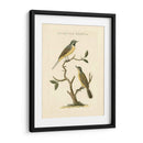 Nozeman Birds Iii - Nozeman | Cuadro decorativo de Canvas Lab