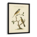 Nozeman Birds Iii - Nozeman | Cuadro decorativo de Canvas Lab