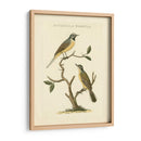 Nozeman Birds Iii - Nozeman | Cuadro decorativo de Canvas Lab