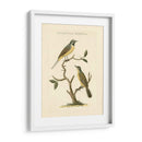 Nozeman Birds Iii - Nozeman | Cuadro decorativo de Canvas Lab