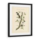 Nozeman Birds Iv - Nozeman | Cuadro decorativo de Canvas Lab