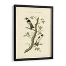 Nozeman Birds Iv - Nozeman | Cuadro decorativo de Canvas Lab