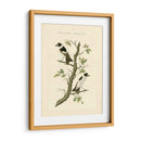 Nozeman Birds Iv - Nozeman | Cuadro decorativo de Canvas Lab