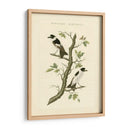 Nozeman Birds Iv - Nozeman | Cuadro decorativo de Canvas Lab