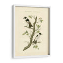 Nozeman Birds Iv - Nozeman | Cuadro decorativo de Canvas Lab