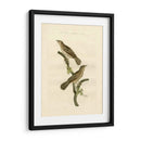 Pájaros Nozeman V - Nozeman | Cuadro decorativo de Canvas Lab