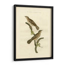 Pájaros Nozeman V - Nozeman | Cuadro decorativo de Canvas Lab