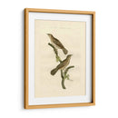 Pájaros Nozeman V - Nozeman | Cuadro decorativo de Canvas Lab