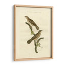 Pájaros Nozeman V - Nozeman | Cuadro decorativo de Canvas Lab