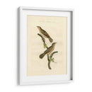 Pájaros Nozeman V - Nozeman | Cuadro decorativo de Canvas Lab
