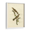 Pájaros Nozeman V - Nozeman | Cuadro decorativo de Canvas Lab