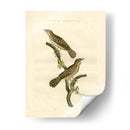 Pájaros Nozeman V - Nozeman | Cuadro decorativo de Canvas Lab