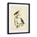 Pájaros Nozeman Vi - Nozeman | Cuadro decorativo de Canvas Lab