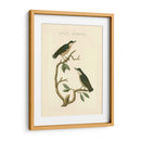 Pájaros Nozeman Vi - Nozeman | Cuadro decorativo de Canvas Lab