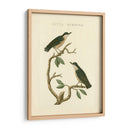 Pájaros Nozeman Vi - Nozeman | Cuadro decorativo de Canvas Lab