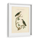 Pájaros Nozeman Vi - Nozeman | Cuadro decorativo de Canvas Lab