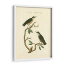 Pájaros Nozeman Vi - Nozeman | Cuadro decorativo de Canvas Lab